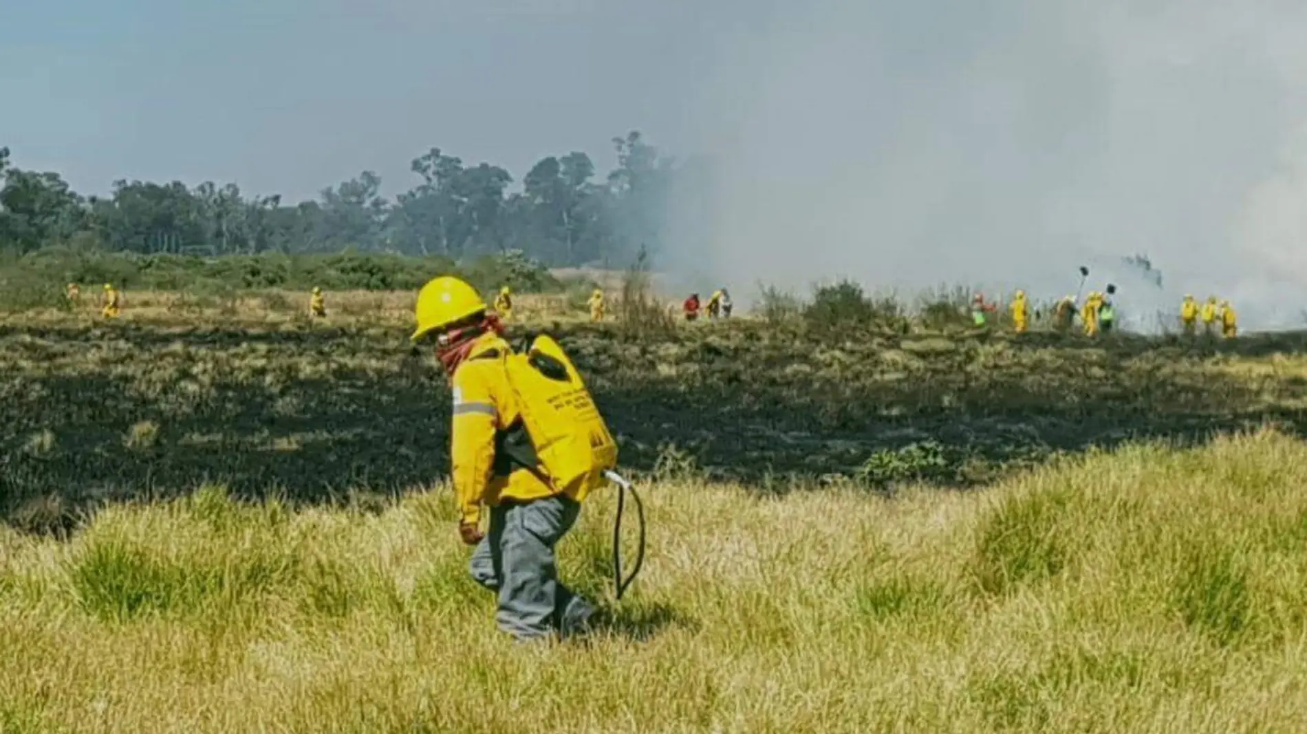 INCENDIOS FORESTALES1